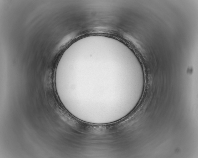 X0000090741403200708101652