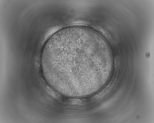 X0000090741405200708101652