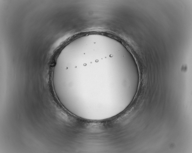 X0000090741406200708101652