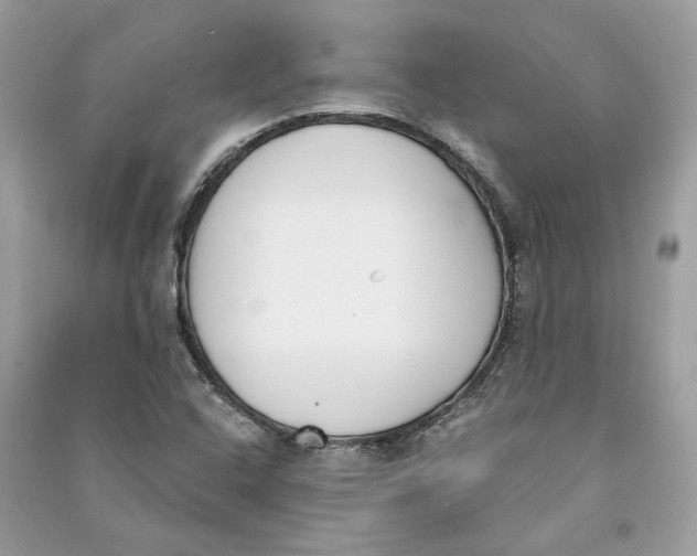 X0000090741408200708101652