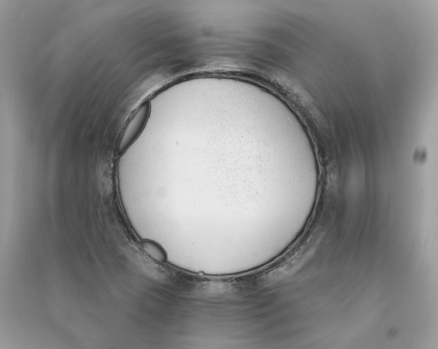 X0000090741409200708101652