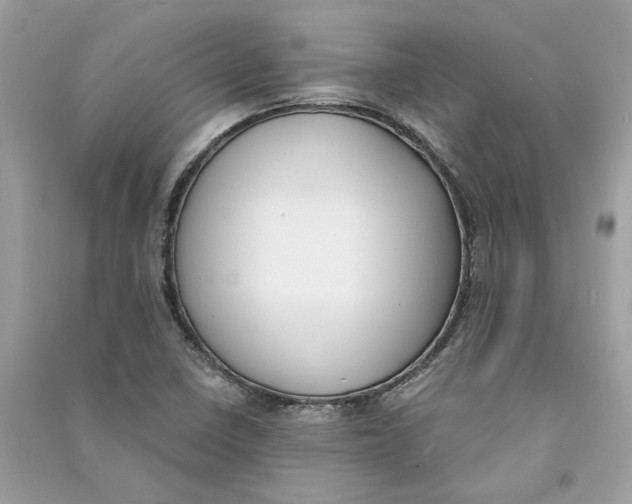 X0000090741410200708101652