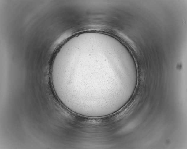 X0000090741411200708101652