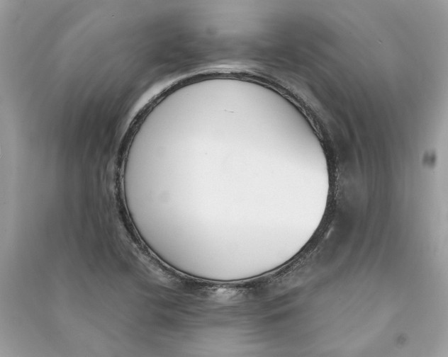 X0000090741412200708101652