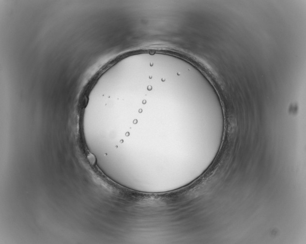 X0000090741414200708101652