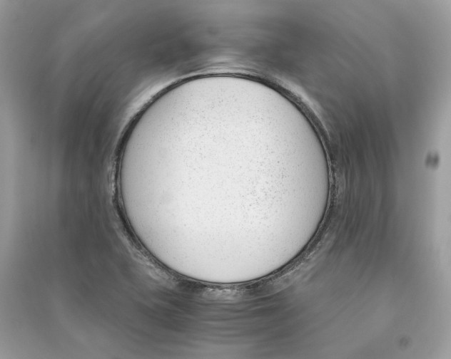 X0000090741415200708101652