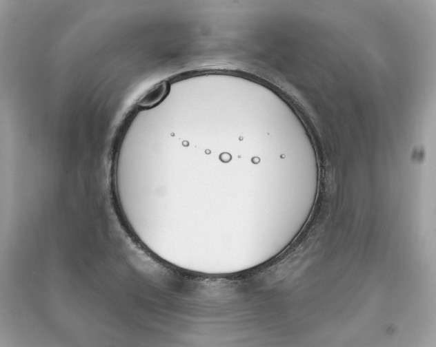 X0000090741416200708101652