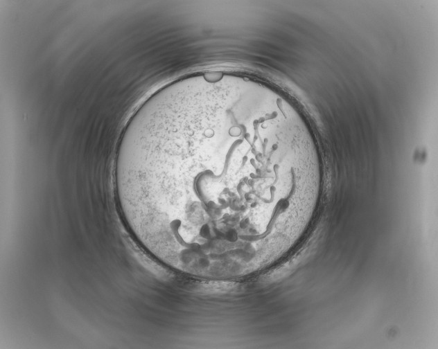 X0000090741417200708101652