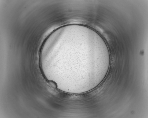 X0000090741419200708101652