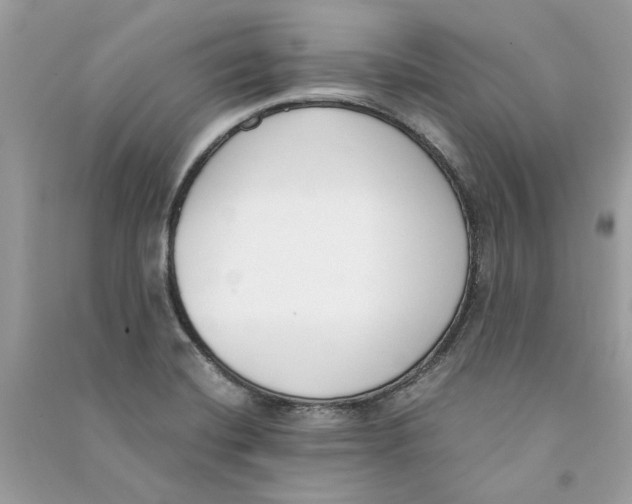 X0000090741420200708101652