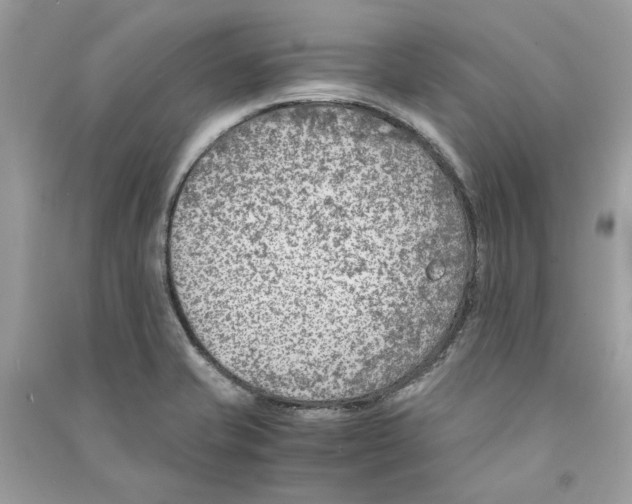 X0000090741421200708101652