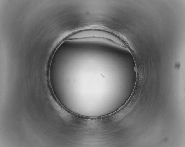 X0000090741422200708101652