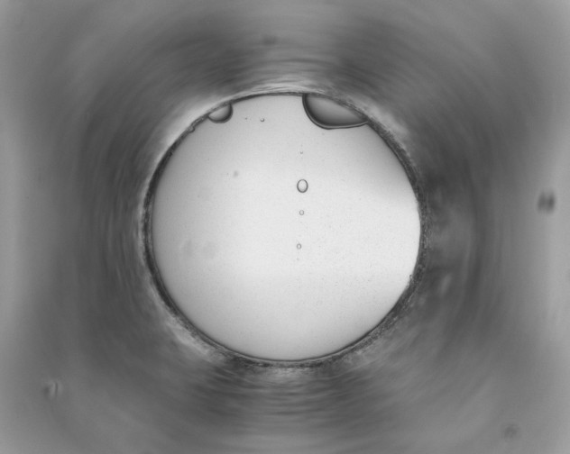 X0000090741423200708101652