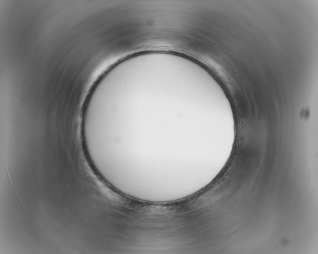 X0000090741424200708101652