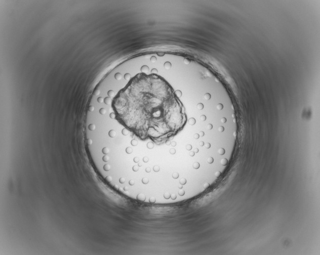 X0000090741425200708101652