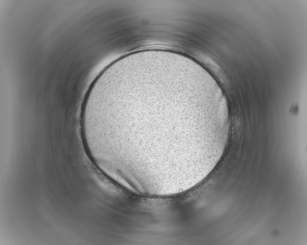 X0000090741427200708101652