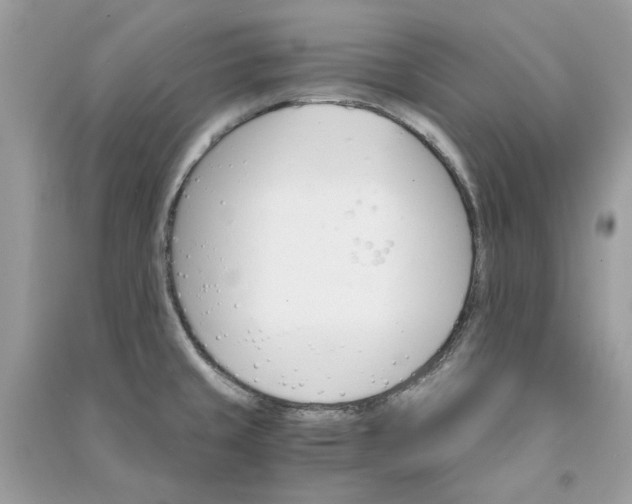 X0000090741429200708101652