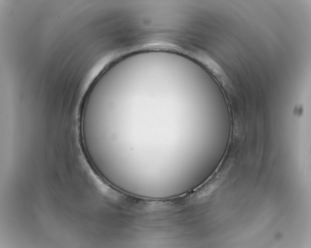 X0000090741430200708101652