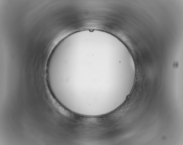 X0000090741431200708101652