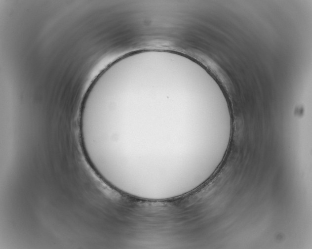 X0000090741432200708101652