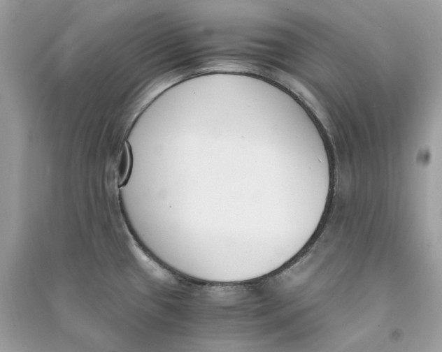 X0000090741433200708101652