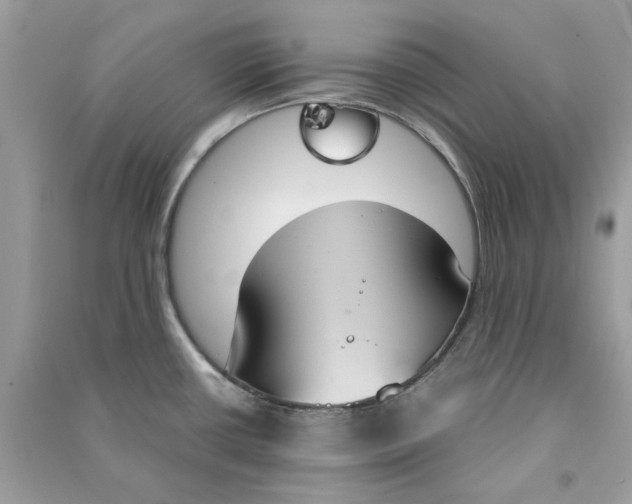 X0000090741434200708101652