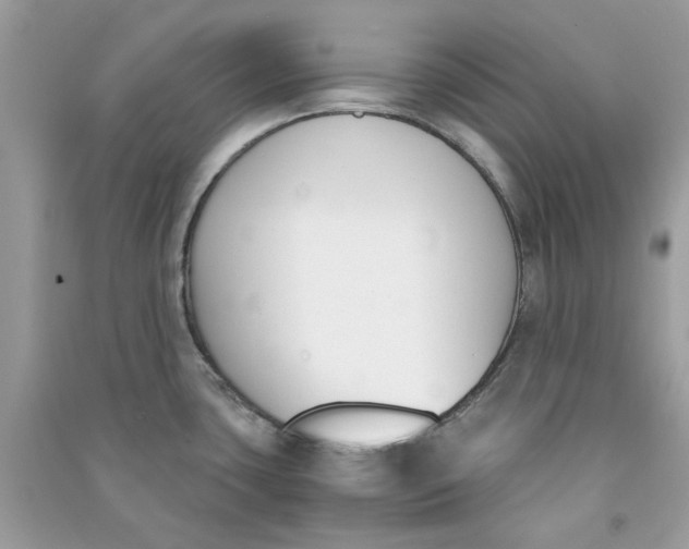 X0000090741435200708101652