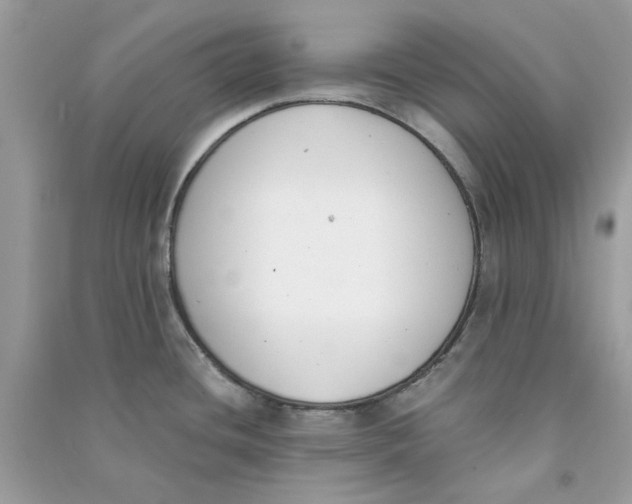 X0000090741436200708101652