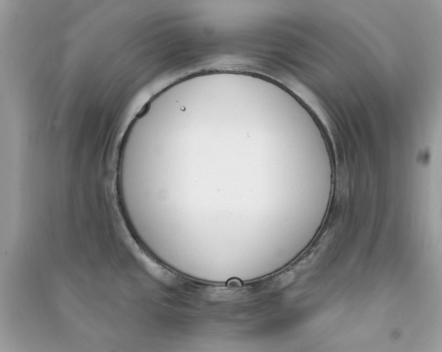 X0000090741437200708101652