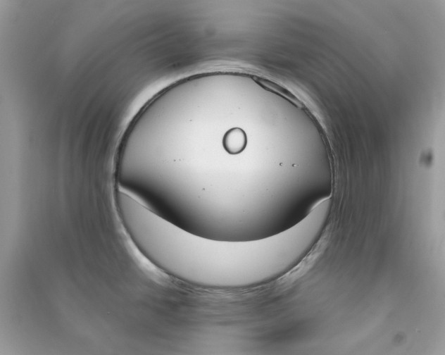 X0000090741438200708101653