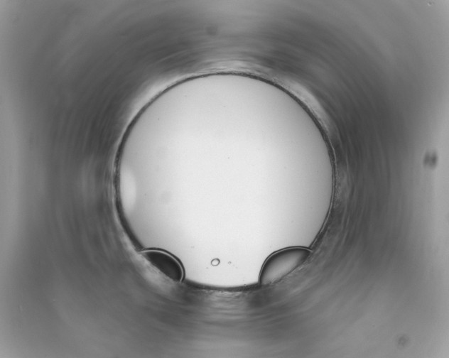 X0000090741439200708101653