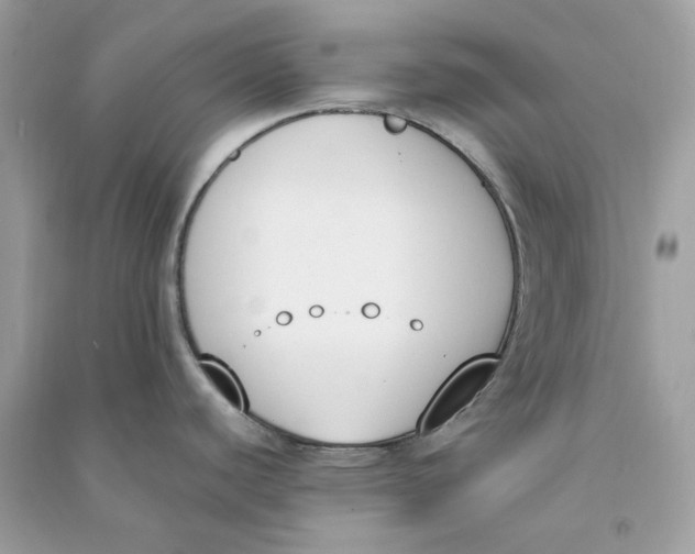 X0000090741440200708101653