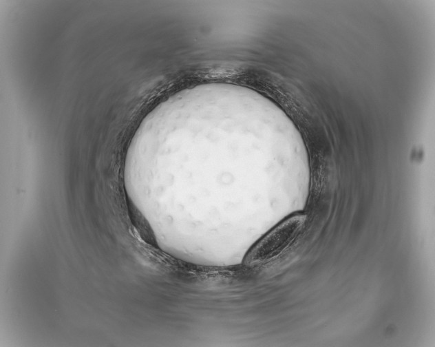 X0000090741441200708101652