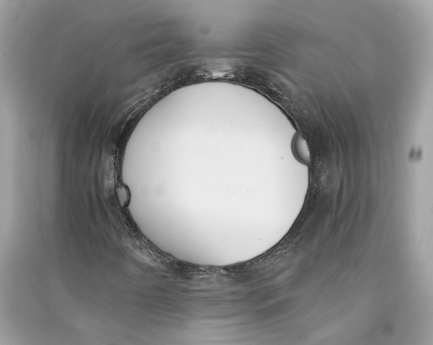 X0000090741442200708101652