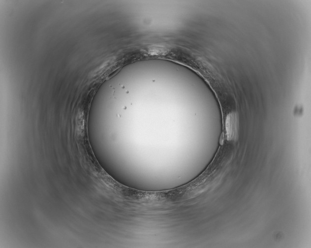 X0000090741443200708101652