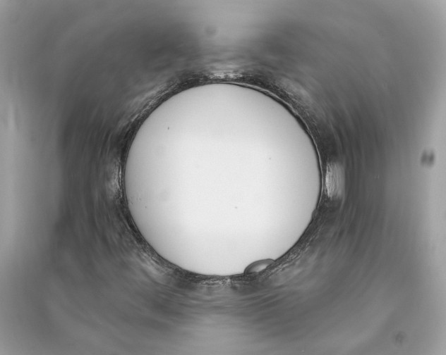 X0000090741444200708101652