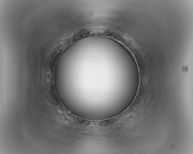 X0000090741445200708101652