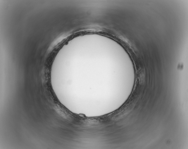 X0000090741448200708101652