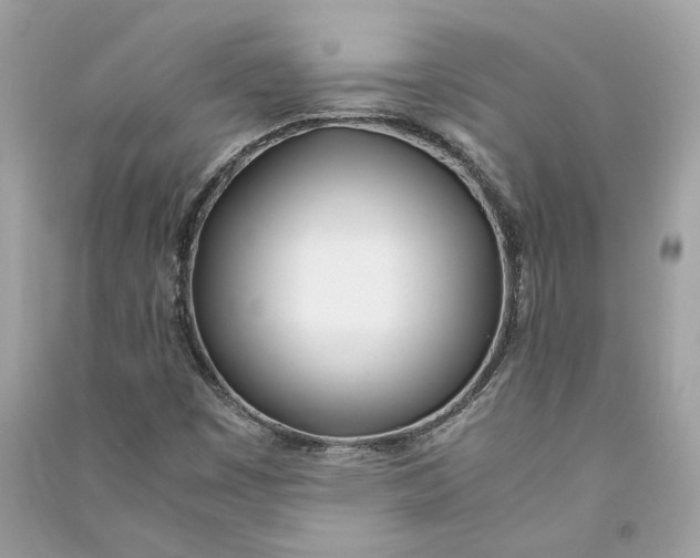 X0000090741449200708101652