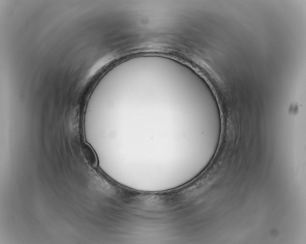 X0000090741450200708101652