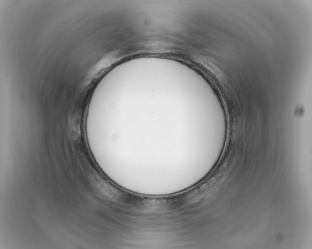 X0000090741451200708101652