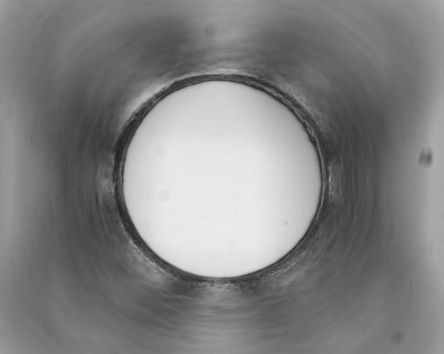 X0000090741452200708101652