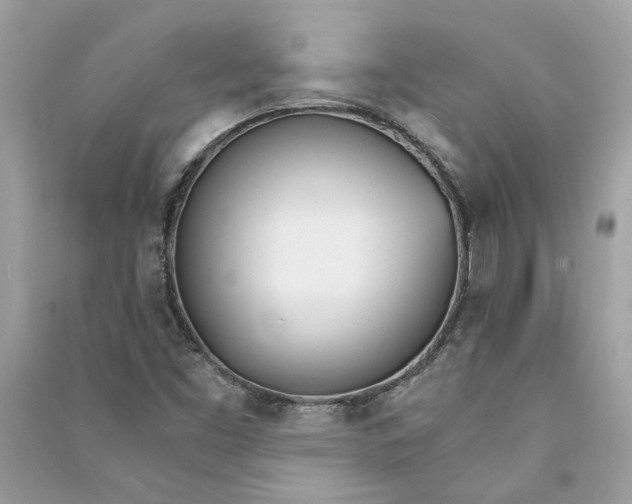 X0000090741453200708101652