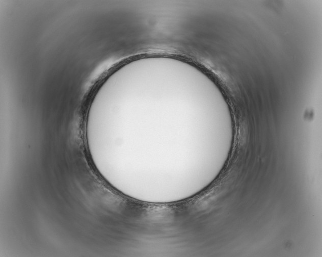 X0000090741454200708101652