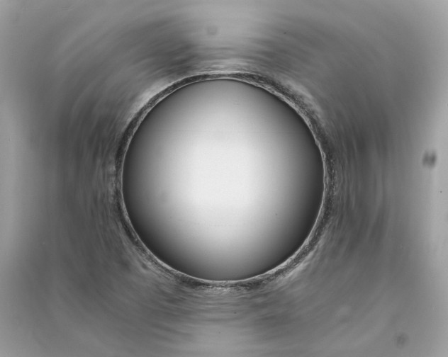 X0000090741457200708101651