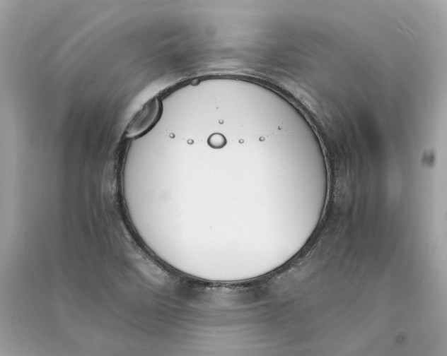 X0000090741458200708101651