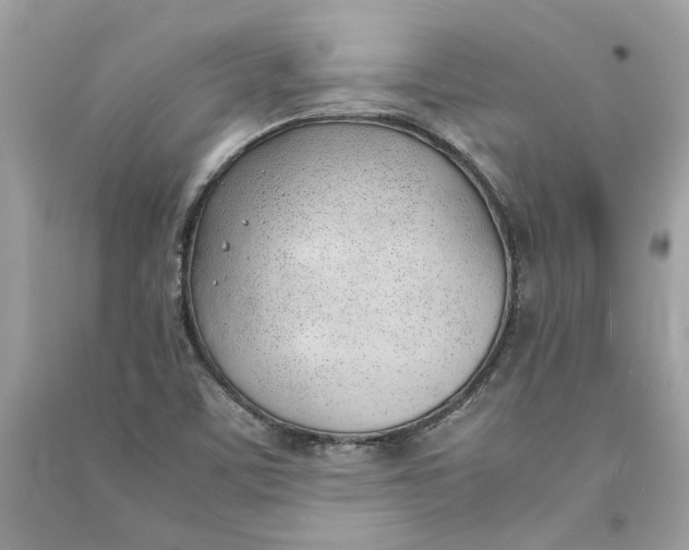 X0000090741459200708101651