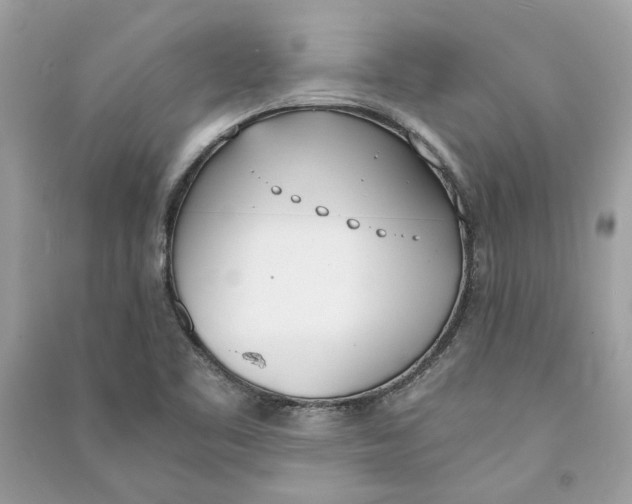 X0000090741461200708101651