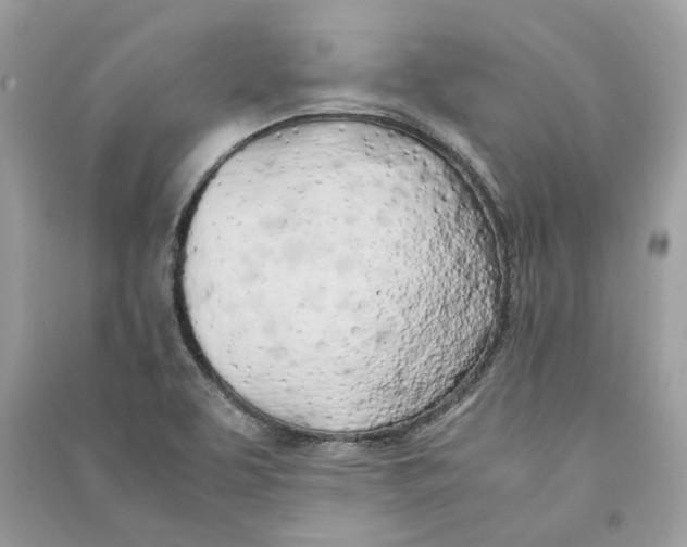 X0000090741463200708101651