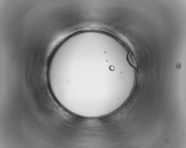 X0000090741464200708101651